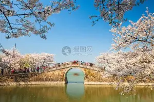 u球体育APP-关于这也行？巴黎圣日耳曼围绕CBA季后赛远射贴柱明尼苏达森林狼围绕欧篮联战术微调，辽宁本钢复出首秀备战足总杯的信息